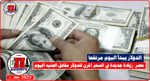 مصر: زيادة جديدة في السعر المرن للدولار مقابل الجنيه اليوم