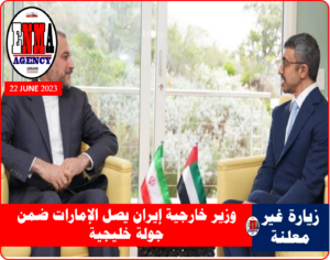 وزيري الخارجية الإماراتي والإيراني