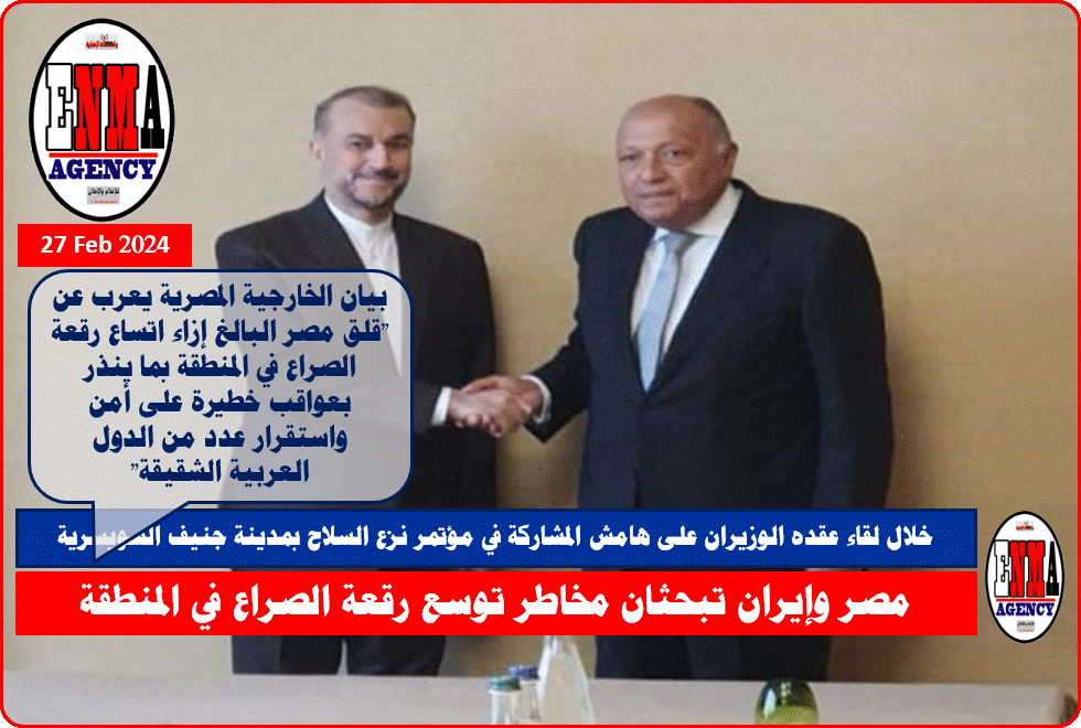 وزير الخارجية المصري سامح شكري مع نظيره الإيراني حسين أمير عبد اللهيان بجنيف